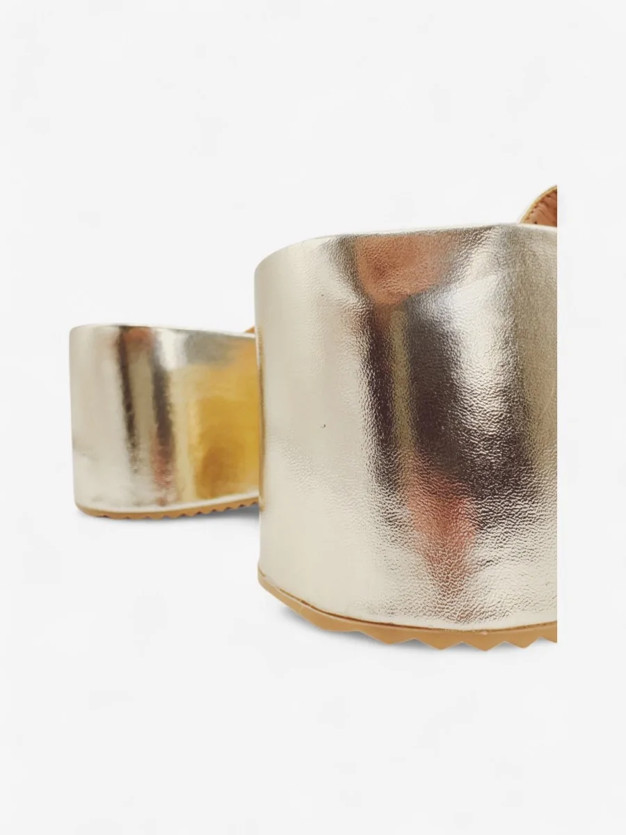 Sandalias Con Plataforma y Hebilla Vicari Gold