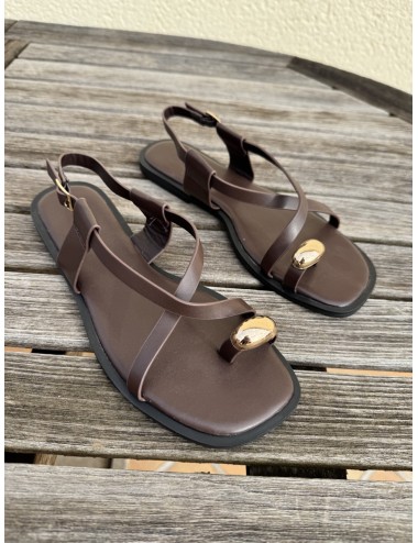 Sandalias planas Sassi Brown