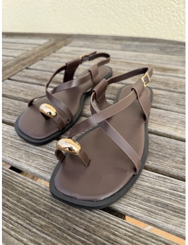 Sandalias planas Sassi Brown